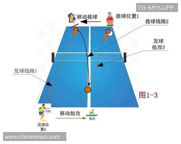 上海乒乓球队战术深度解析与训练策略探讨